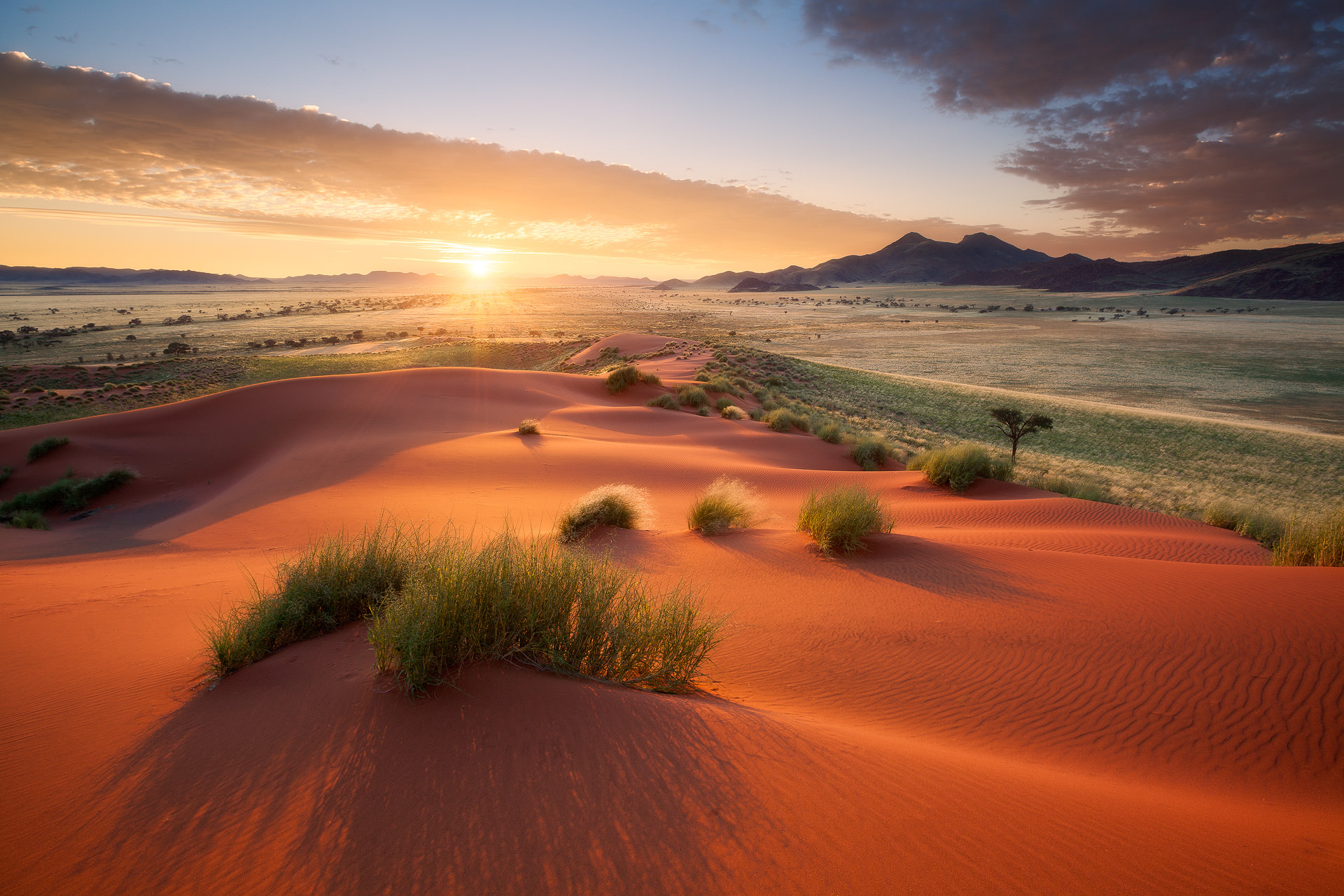 Самая сухая пустыня в африке. Намибия пустыня Намиб. Намиб пустыни Африки. Пустыня Намиб ЮАР. Пустыня Калахари ЮАР.