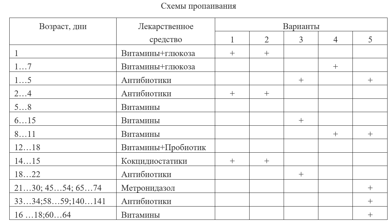 Индюшата - болезни и лечение в домашних условиях