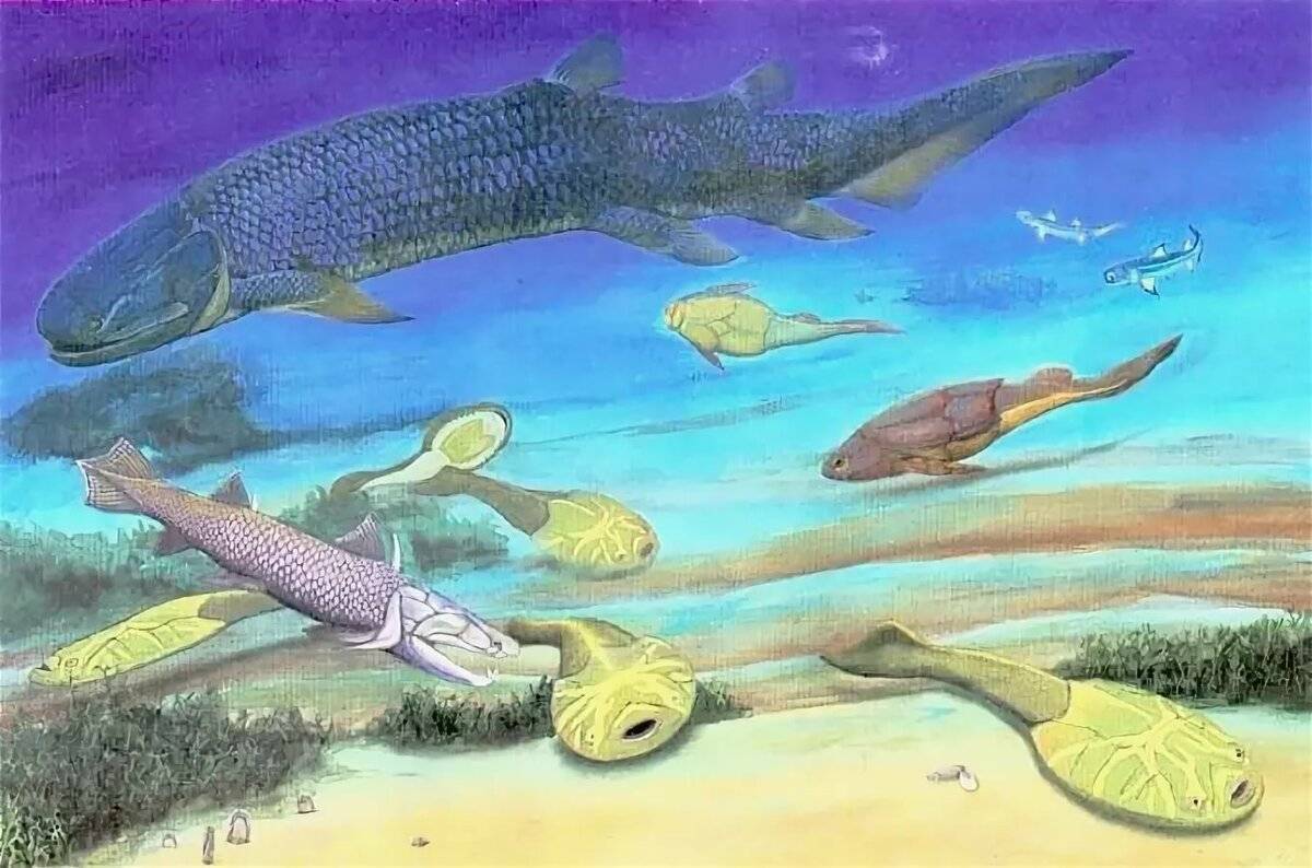 Какими были первые рыбы. Палеозойская Эра Девонский. Палеозойская Эра Девонский период рыбы. Девонский период палеозойской эры. Палеозой Эра Девон.