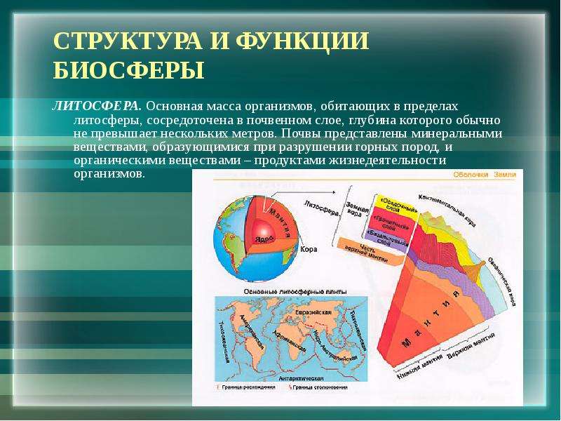 Структура биосферы презентация