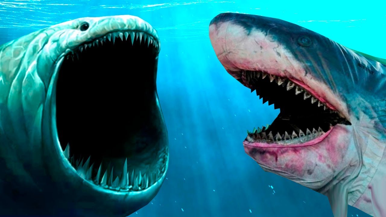 Мегалодон жив - новые факты ∞ лагуна акул