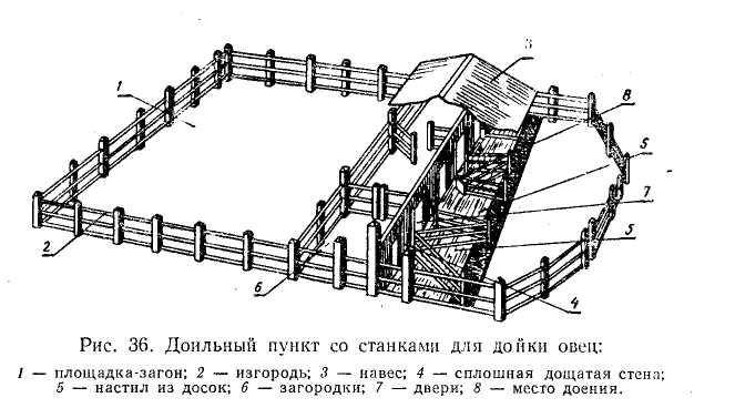 Овчарня для овец проект