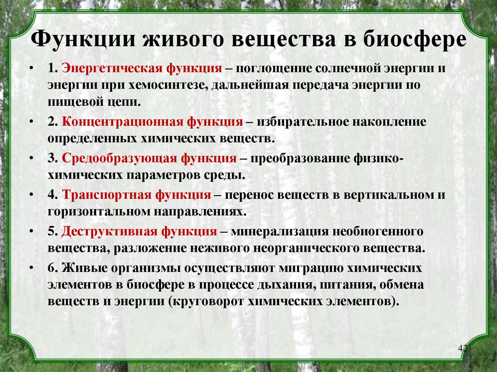 Составьте развернутый план параграфа биология 8 класс роль живых организмов в биосфере