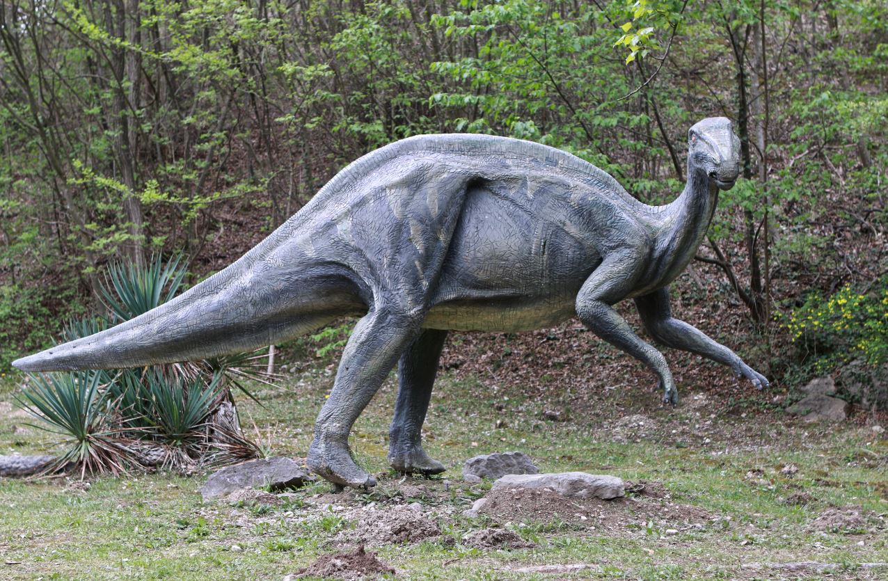Кемптозавр - википедия