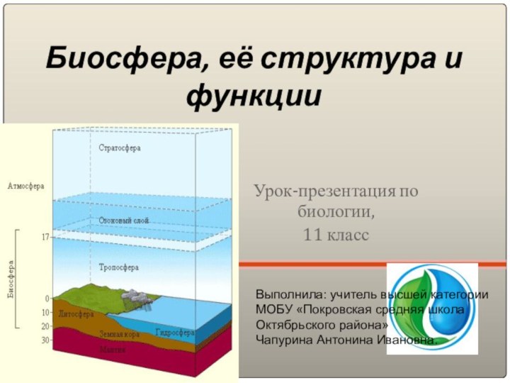 Функции биосферы схема