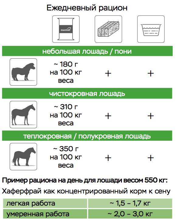 Лошадиная масса. Рацион для лошадей таблица. Кормление лошадей таблица. Суточный рацион лошади. Суточный рацион рабочей лошади.