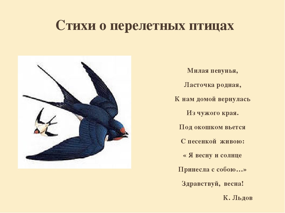 Составь описание известной тебе птицы по плану 2 класс русский язык рабочая тетрадь