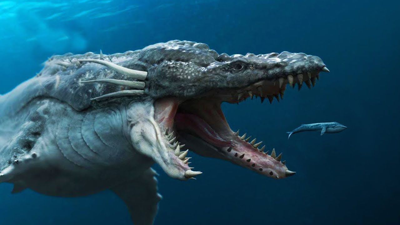 Акула-мегалодон: топ 10 удивительных фактов об этом ужасном чудовище